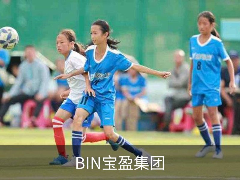 走进BIN宝盈集团